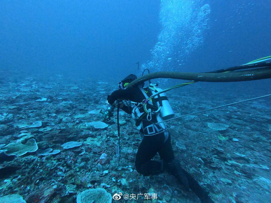 虫虫助手下载